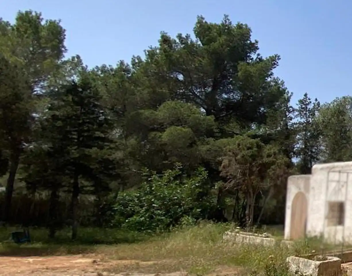 Casa rústica amb jardí en venda a Sant Antoni de Portmany, imagen 5