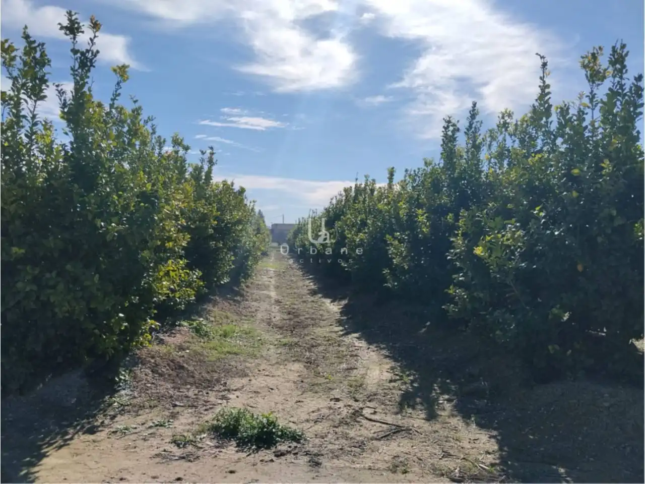 Terreny rústic en venda a Camino Huerta de Abajo, imagen 23
