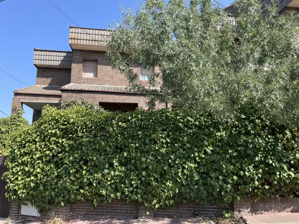 Detached homes for rent in Calle Brazos De Los, La Navata