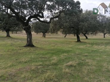 Terrenos y solares en venta en Casco Antiguo