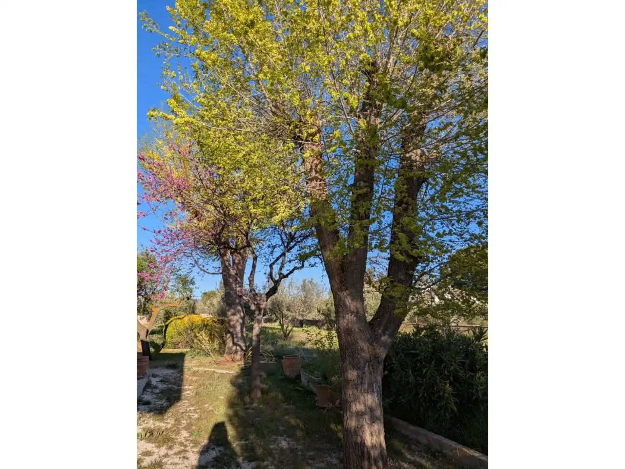 Villa con piscina in vendita a Onil, imagen 30