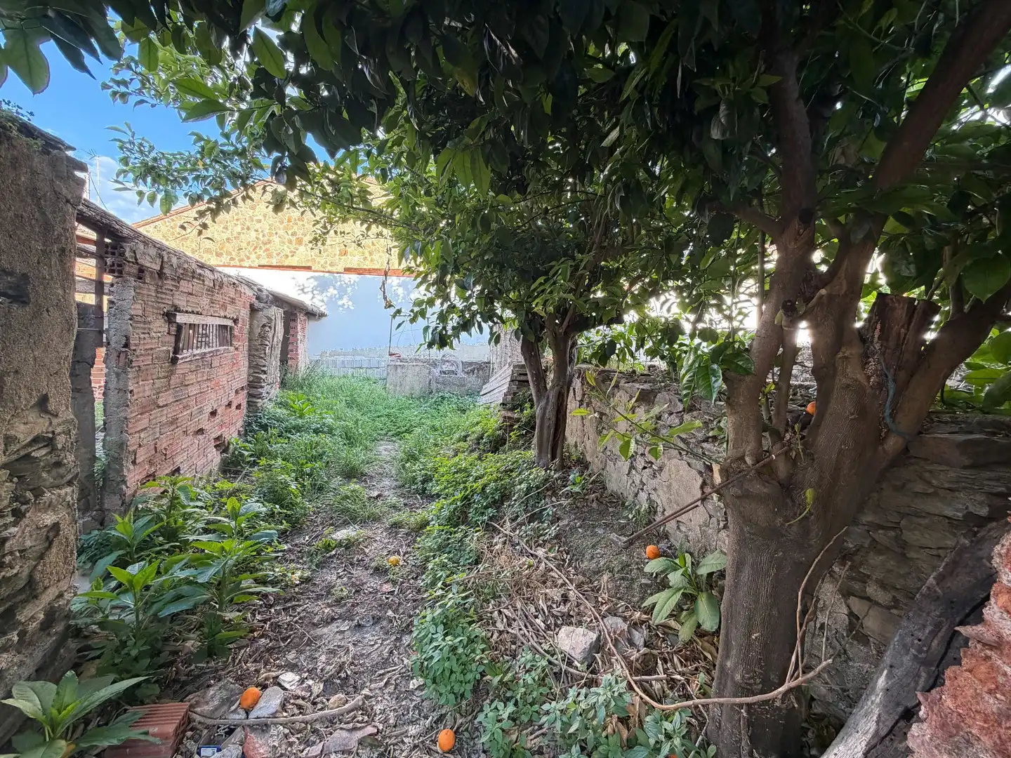 Terreni e lotti in vendita a Malpartida de Plasencia, imagen 3