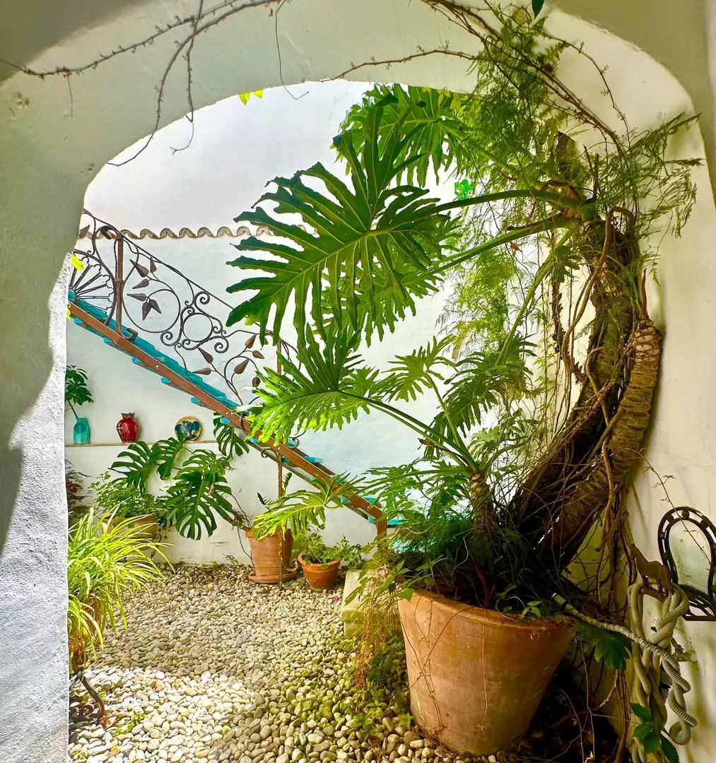 House for sale in Vejer, imagen 21