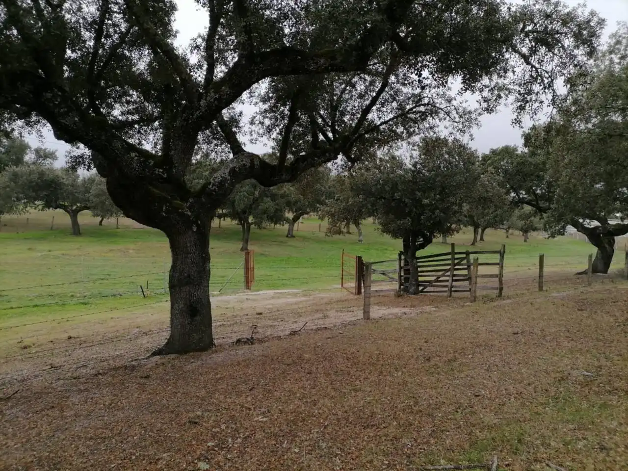 Terreno en venta en Poligono 1, La Alameda de Gardón