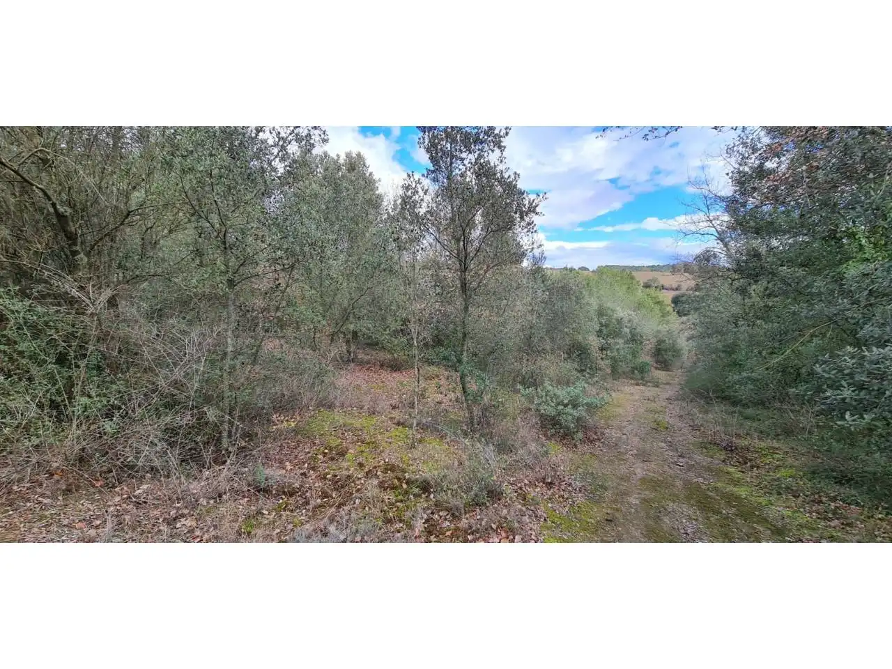 Rural land for sale in Lliçà d'Amunt, imagen 21