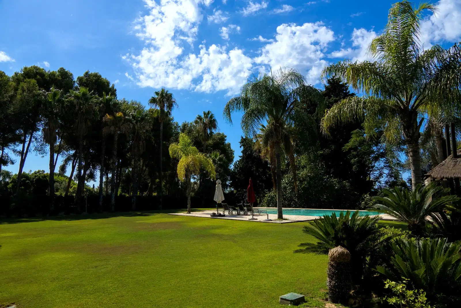 Jardí de Casa o xalet en venda en Marbella amb Aire condicionat, Jardí privat i Parquet