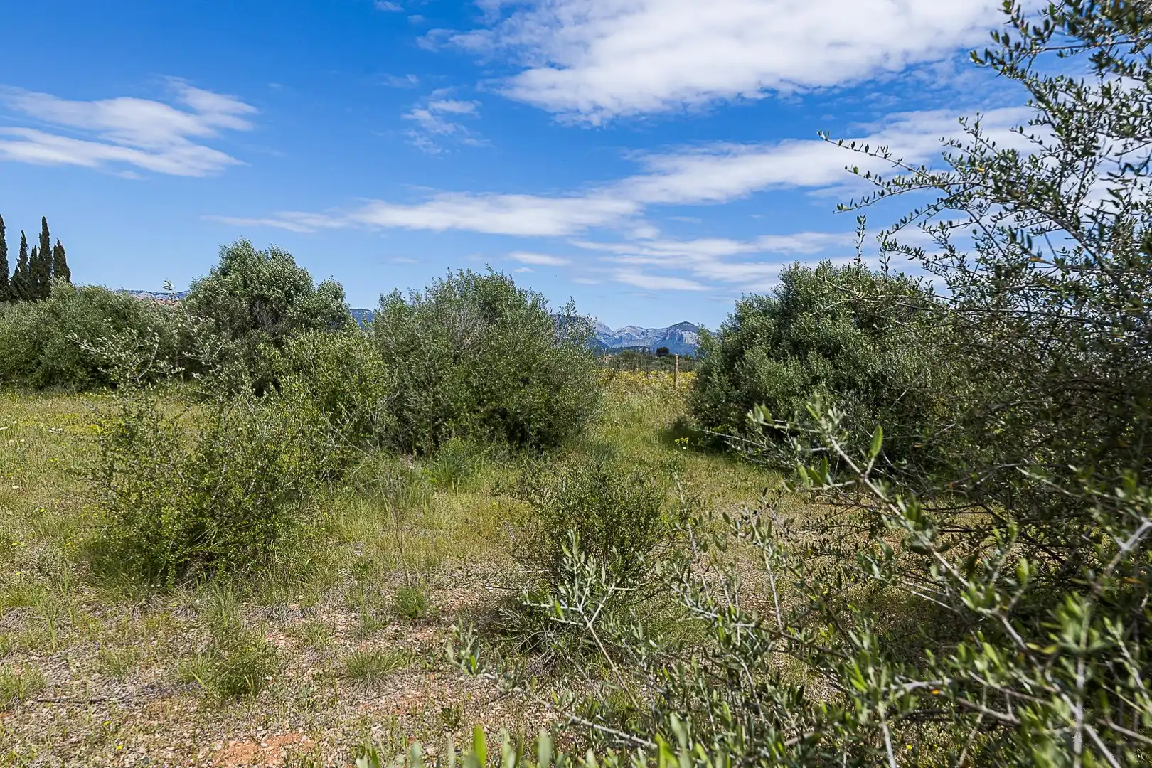 Terreny rústic en venda a Santa María del Camí, imagen 13