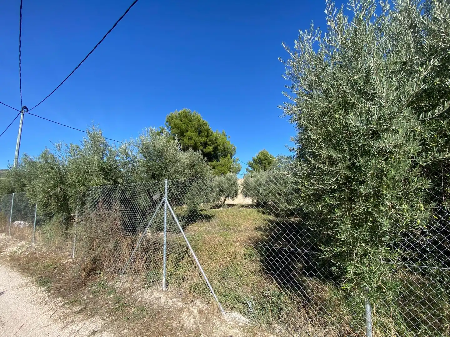 Terrain rustique à vendre à Moratalla, imagen 12