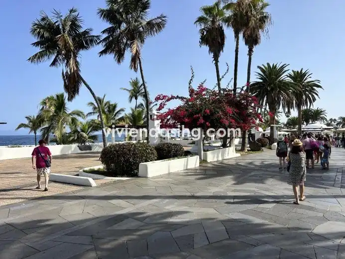 Vista exterior de Estudi en venda en Puerto de la Cruz amb Terrassa i Moblat