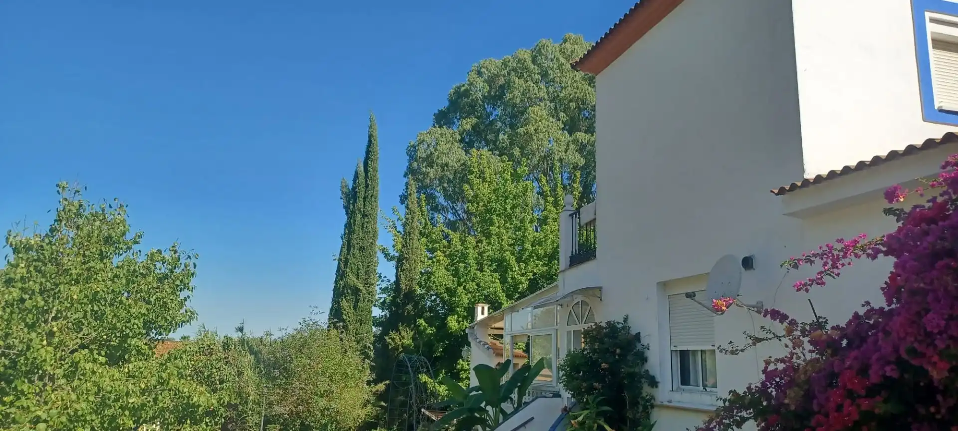 Vista exterior de Casa o chalet en venta en Castilblanco de los Arroyos con Aire acondicionado, Jardín privado y Terraza