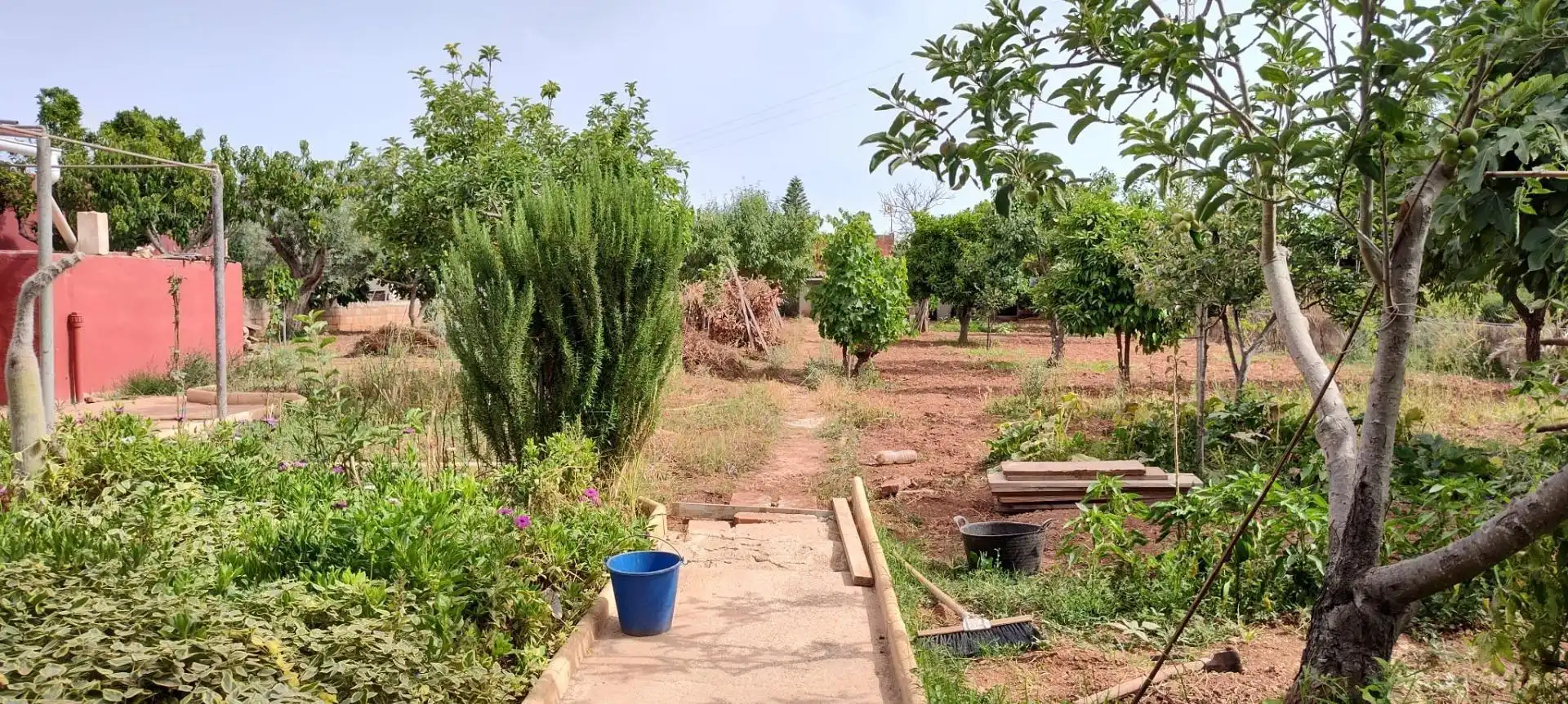 Finca rústica en venda en  Palma de Mallorca amb Jardí privat i Terrassa
