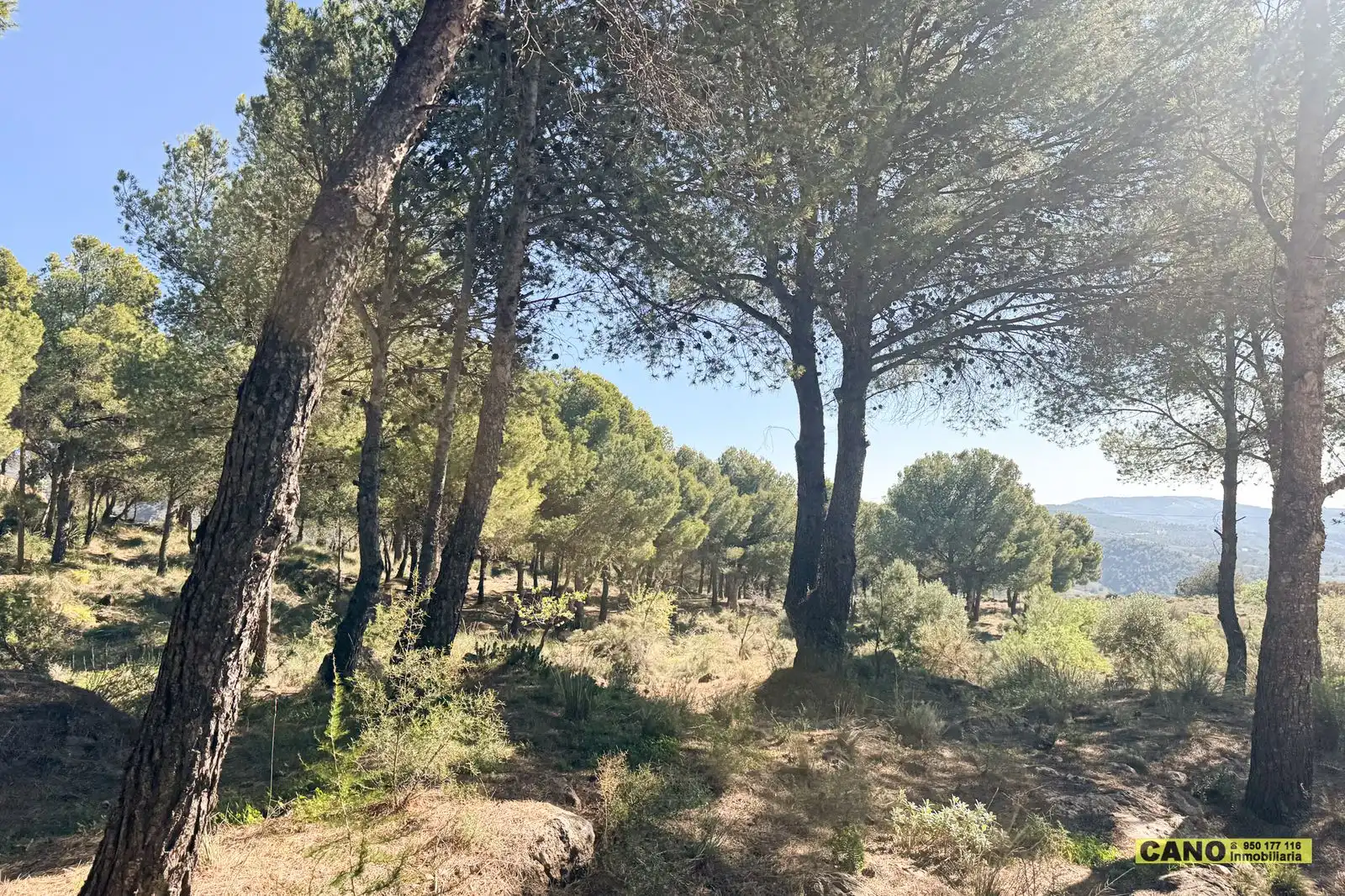 Casa o xalet en venda en Felix amb Aire condicionat, Calefacció i Terrassa