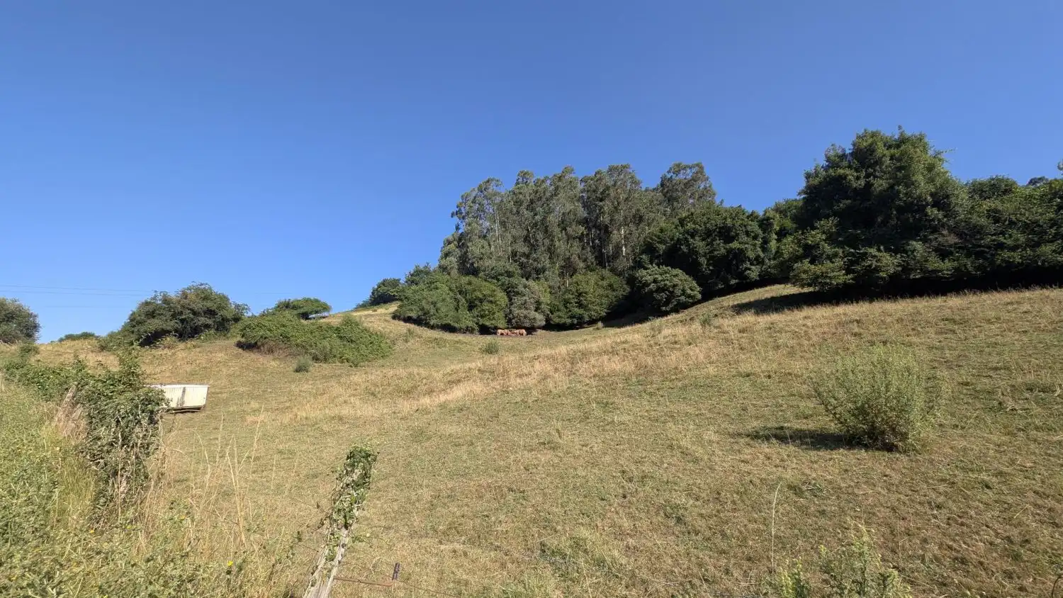 Terreni e lotti in vendita a EL JURRIO 75, imagen 10