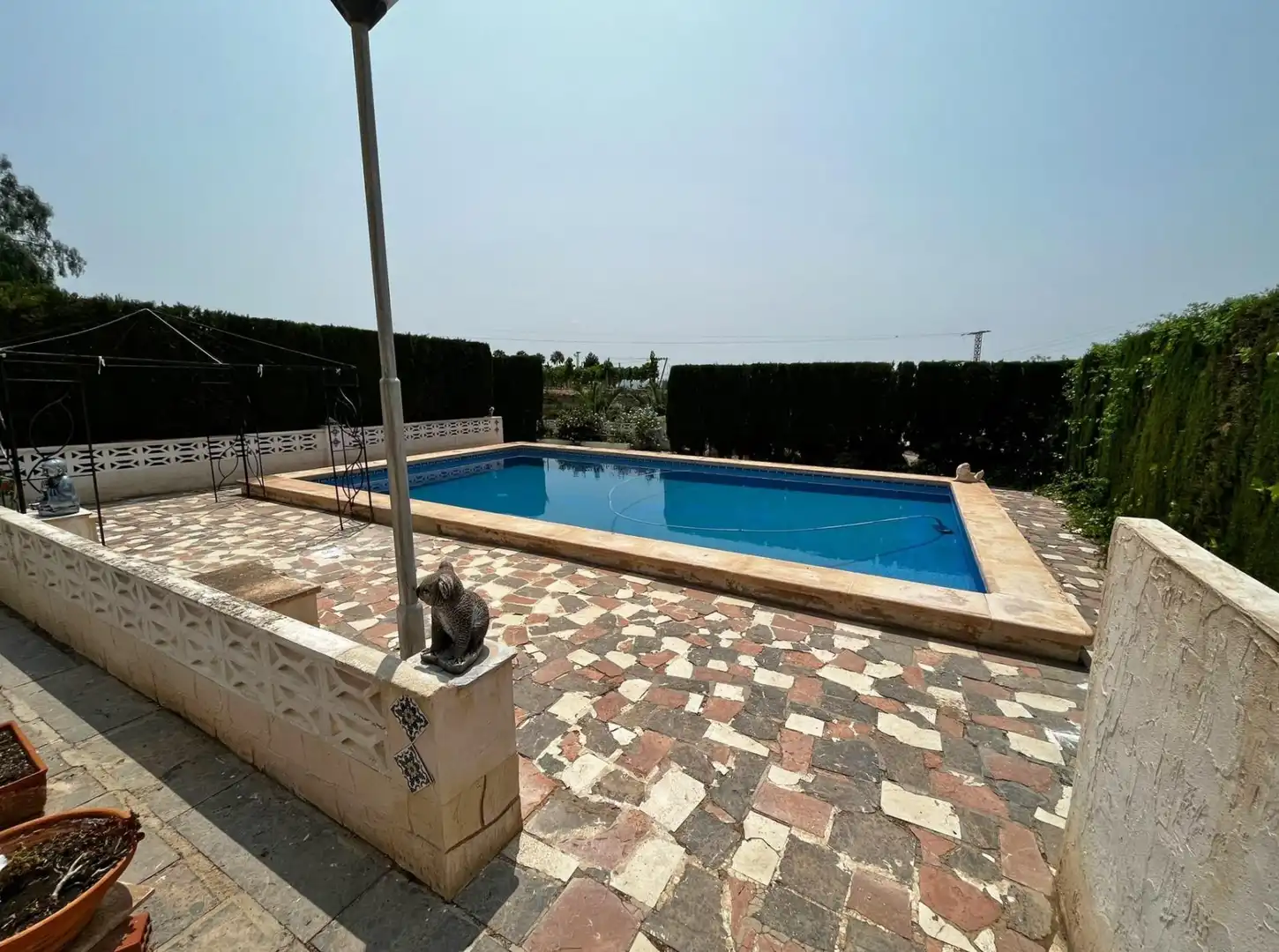 Piscina de Casa o xalet en venda en Novelda amb Jardí privat i Piscina