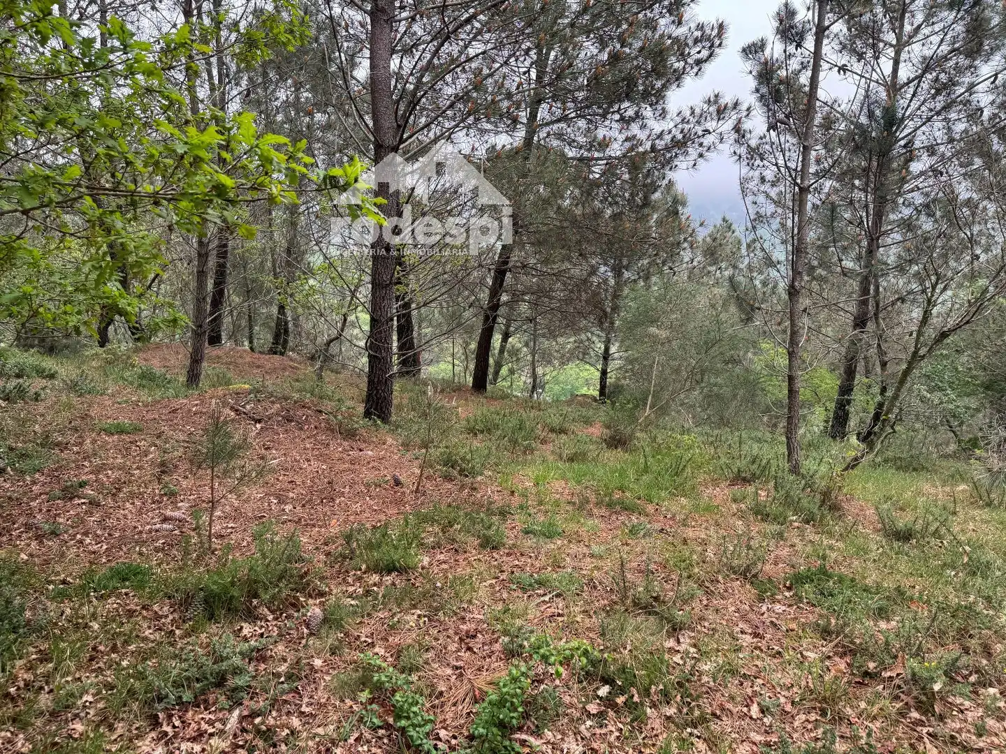 Xalet en venda a Covelo, imagen 70