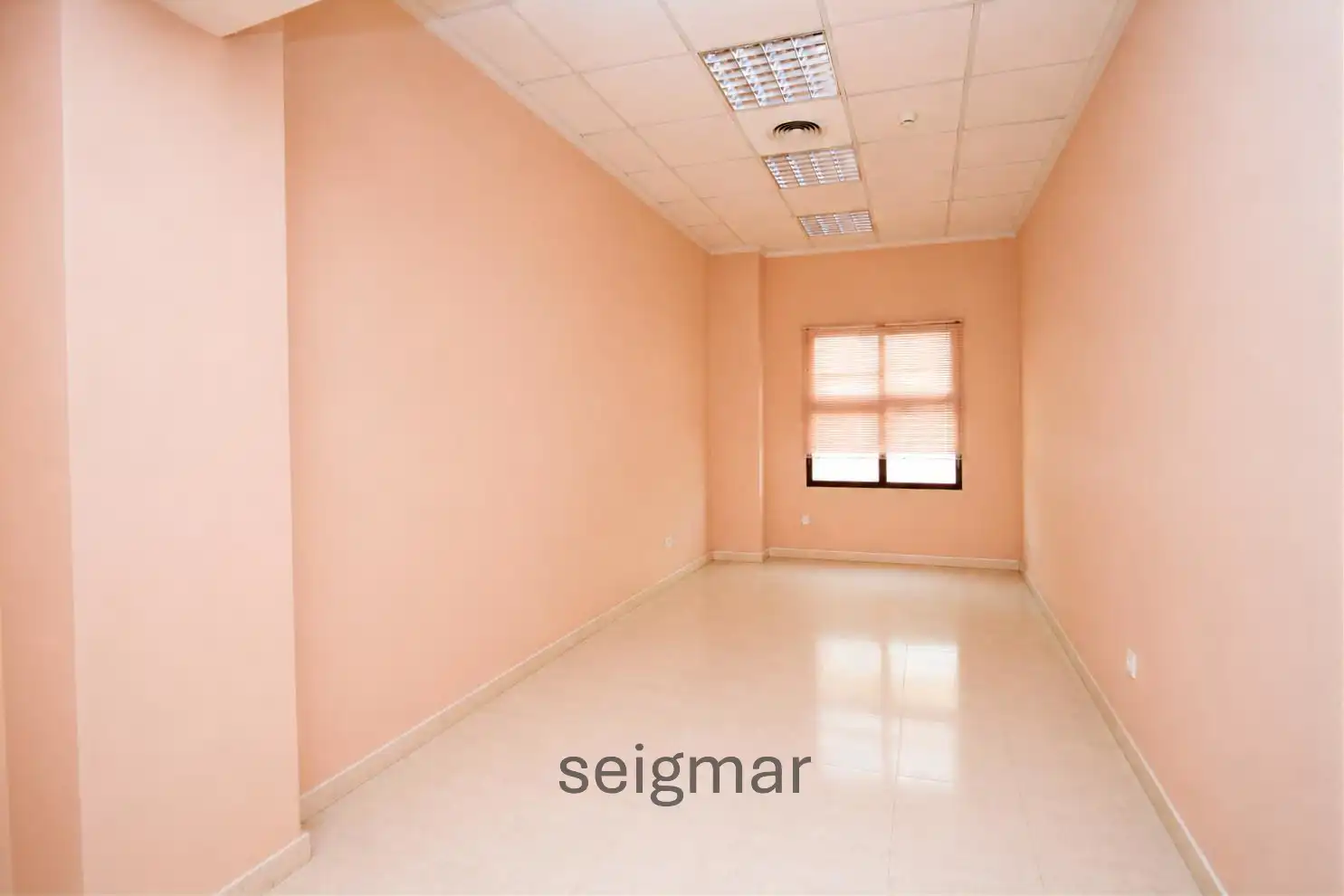 Business premises for sale in Calle Caballero de Rodas, imagen 9