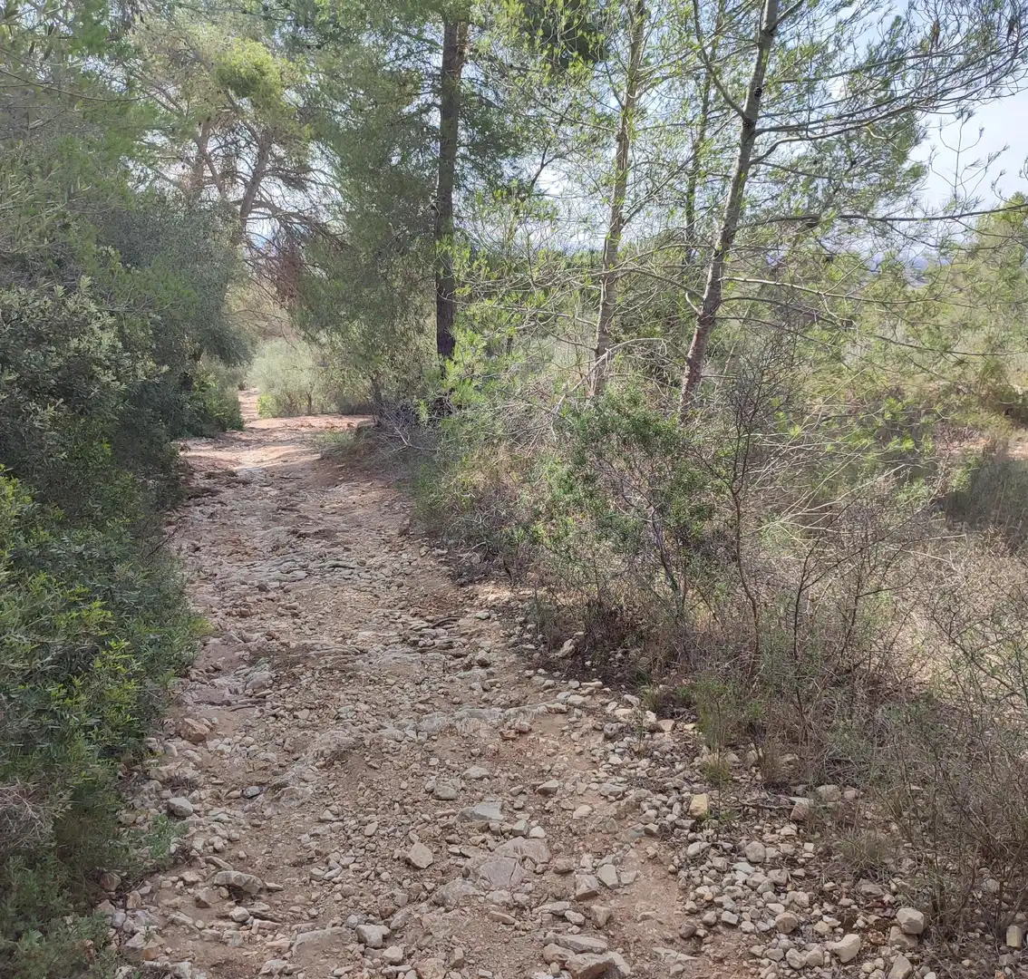 Rural land for sale in Sant Joan, imagen 12