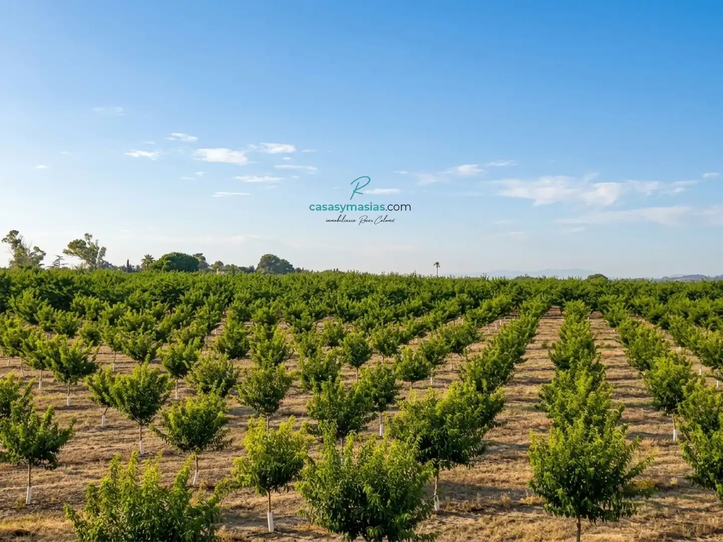 Finca rústica en venda en Tarragona amb Calefacció, Jardí privat i Terrassa