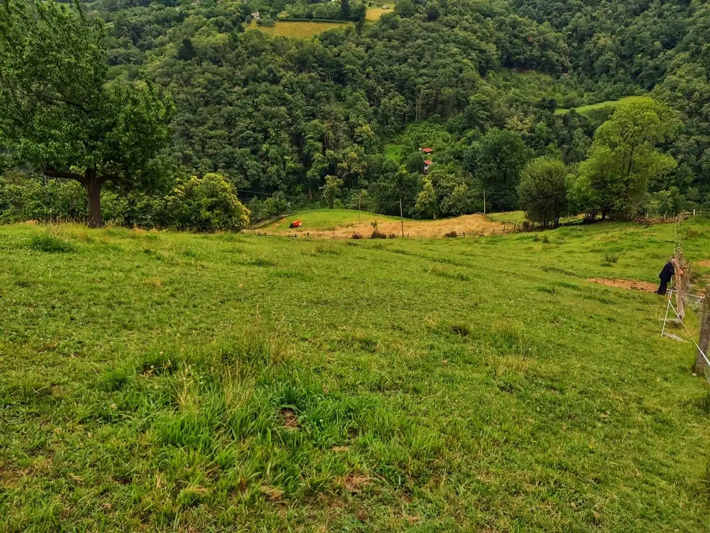 Terreno en venta en Laviana
