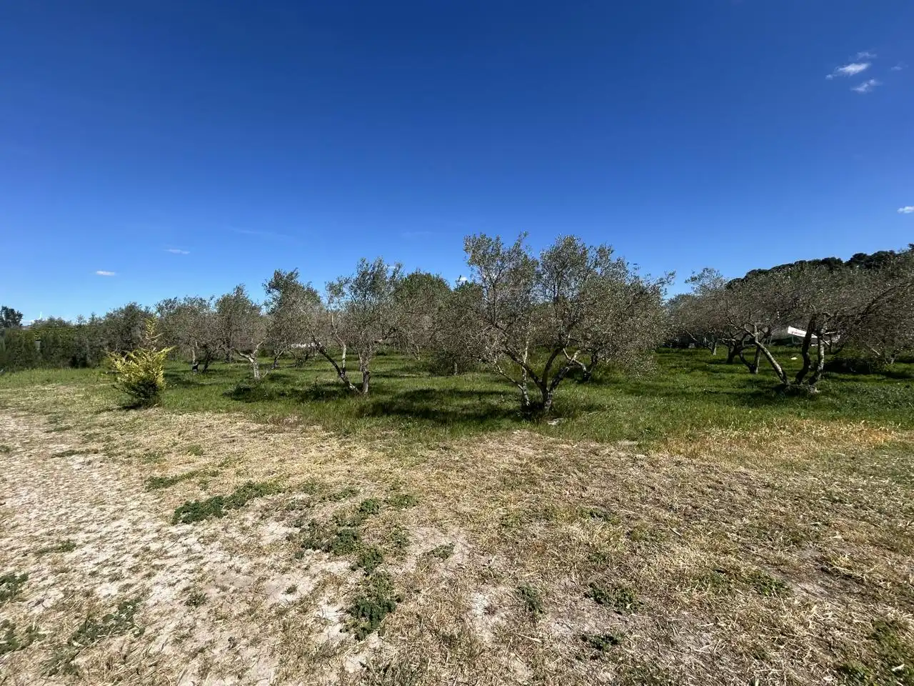 Finca rústica en venta en Tudela