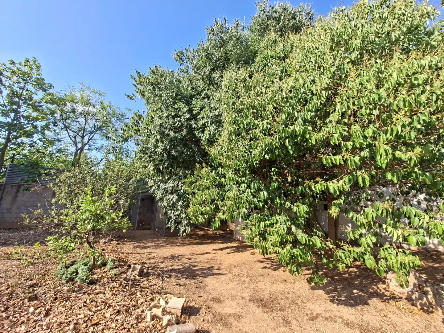 Villa avec piscine à vendre à Calle GENARD BARTROLI, imagen 56