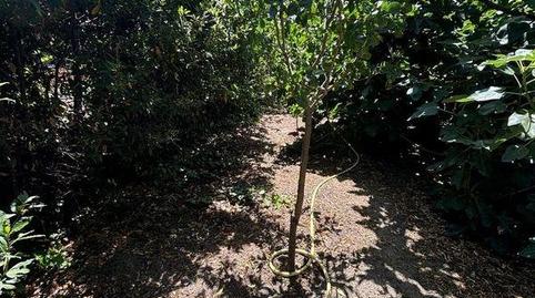 Foto 3 de Casa o xalet en venda a Avenida de Fuensaldaña, La Victoria - Puente Jardín, Valladolid