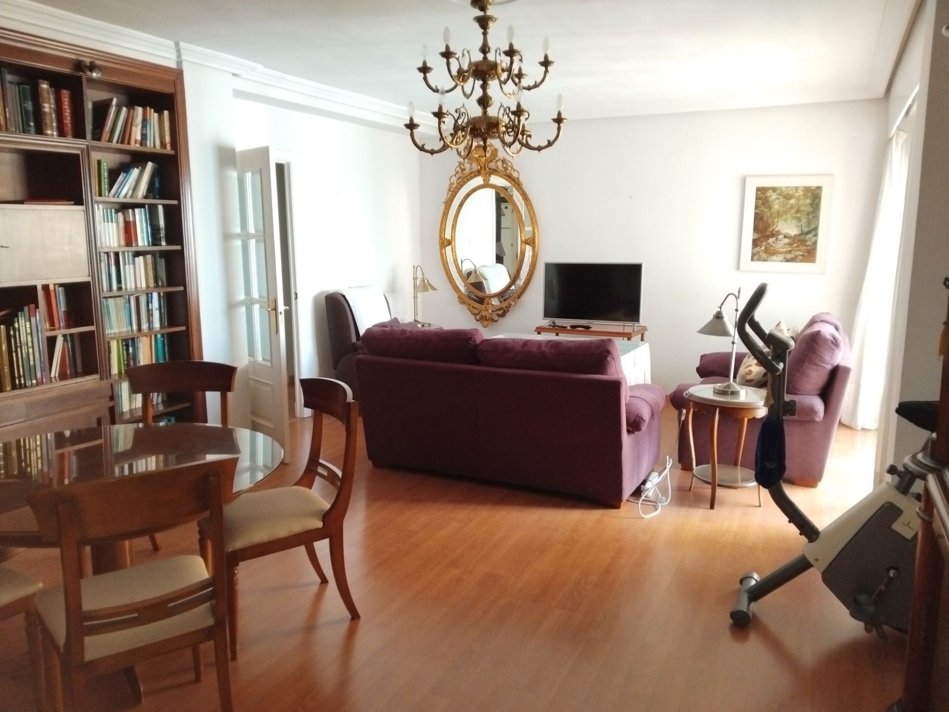 Living room of Flat for sale in Algeciras  with Parquet flooring, Terrace and Furnished