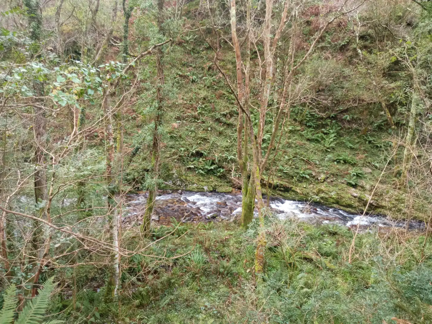 Vista exterior de Finca rústica en venda en Cudillero amb Jardí privat