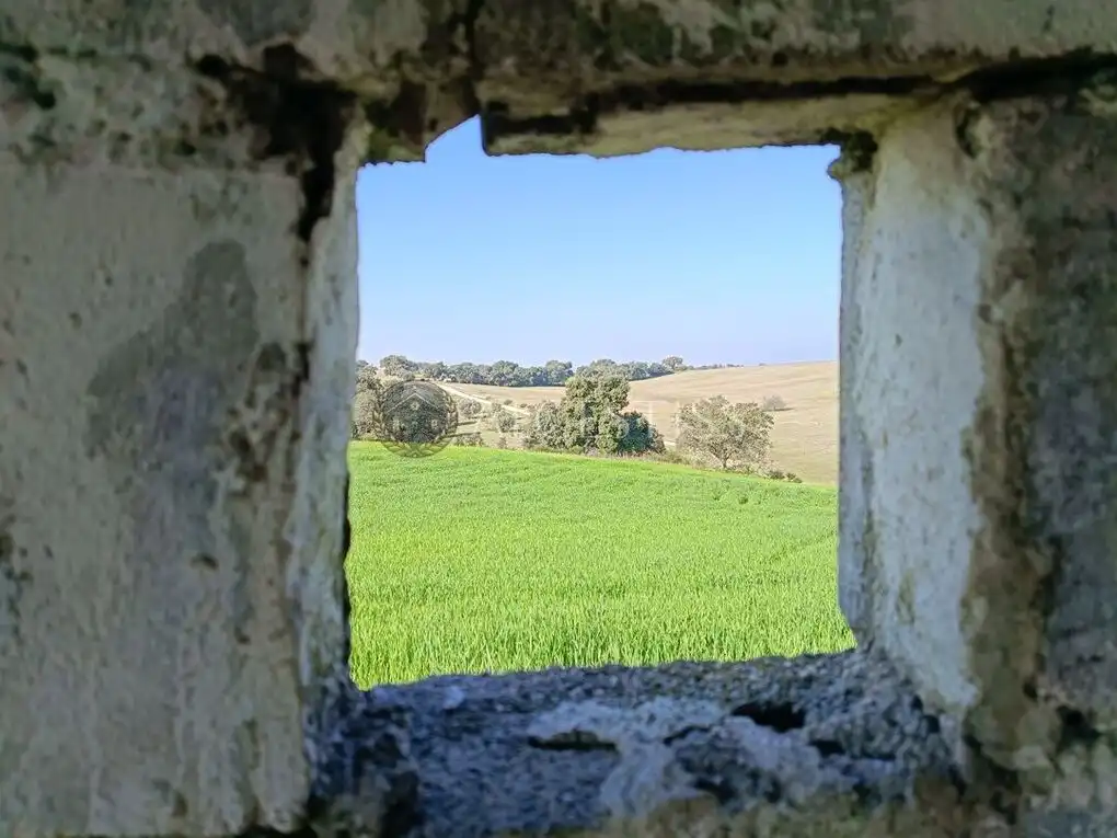Terreni e lotti in vendita a Méntrida, imagen 7