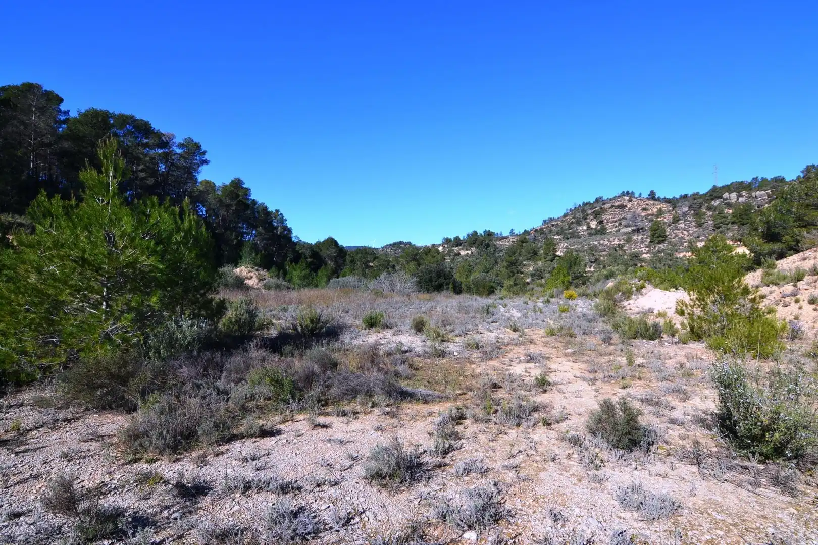 Rural land for sale in Ascó, imagen 38