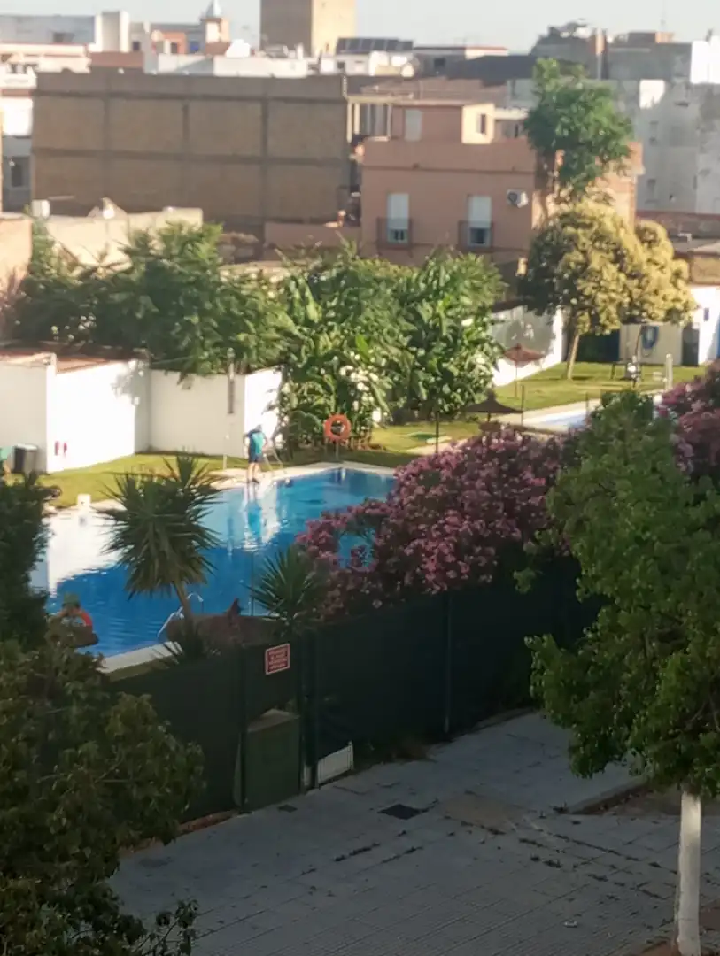 Schwimmbecken von Wohnung zur Miete in La Algaba mit Klimaanlage, Terrasse und Abstellraum