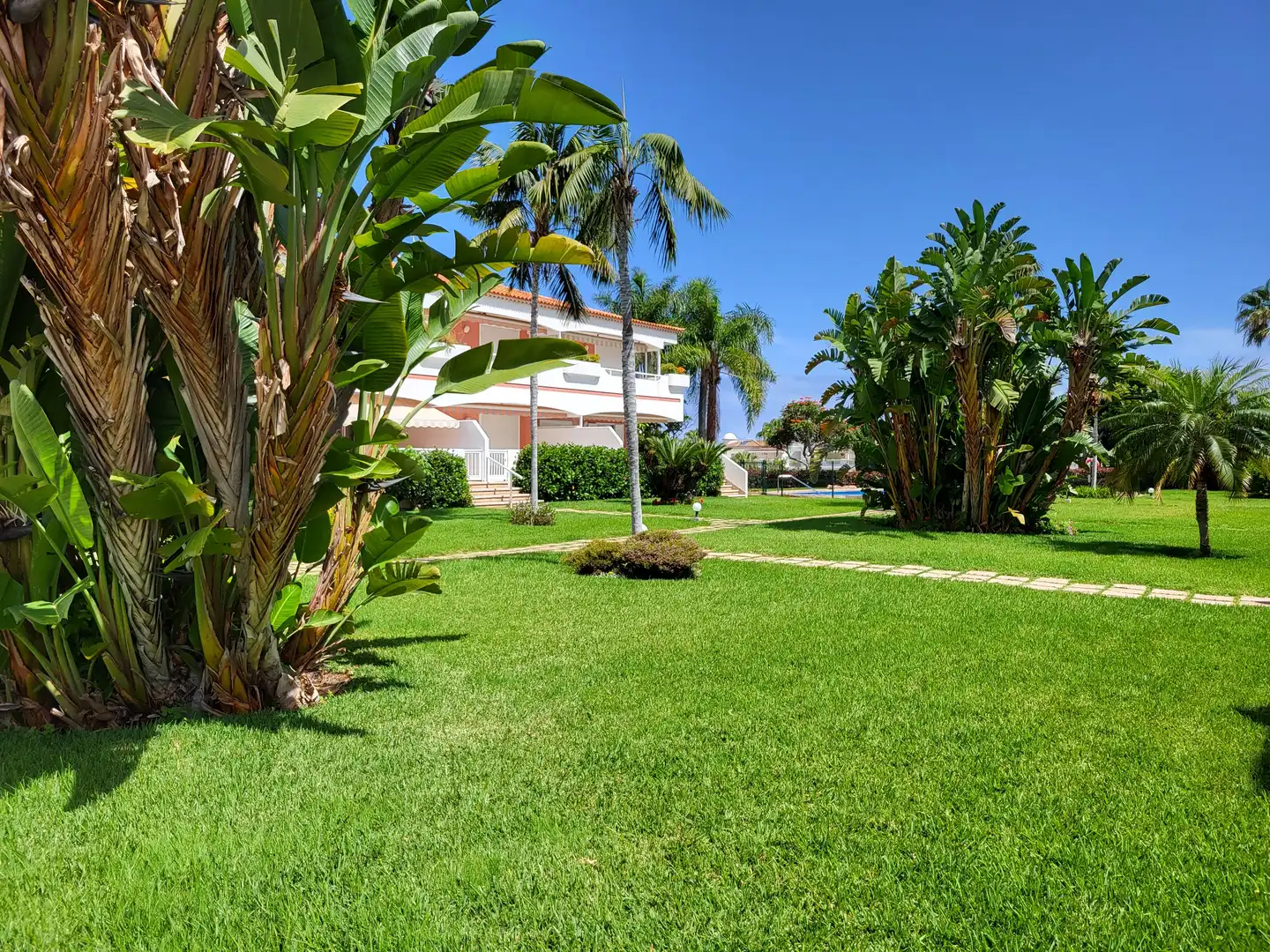 Ático de alquiler en Puerto de la Cruz, Santa Cruz de Tenerife