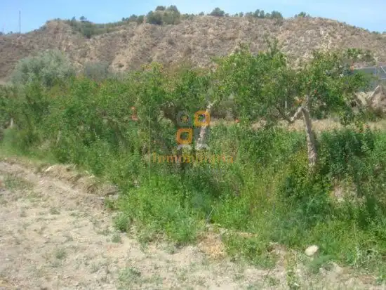 Industriegebäude zum Verkauf in Huércal-Overa, imagen 9