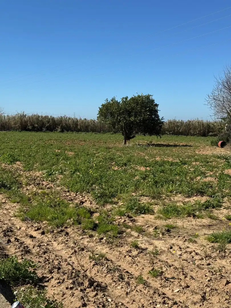 Terrenys i solars en venda a Cantillana, imagen 9