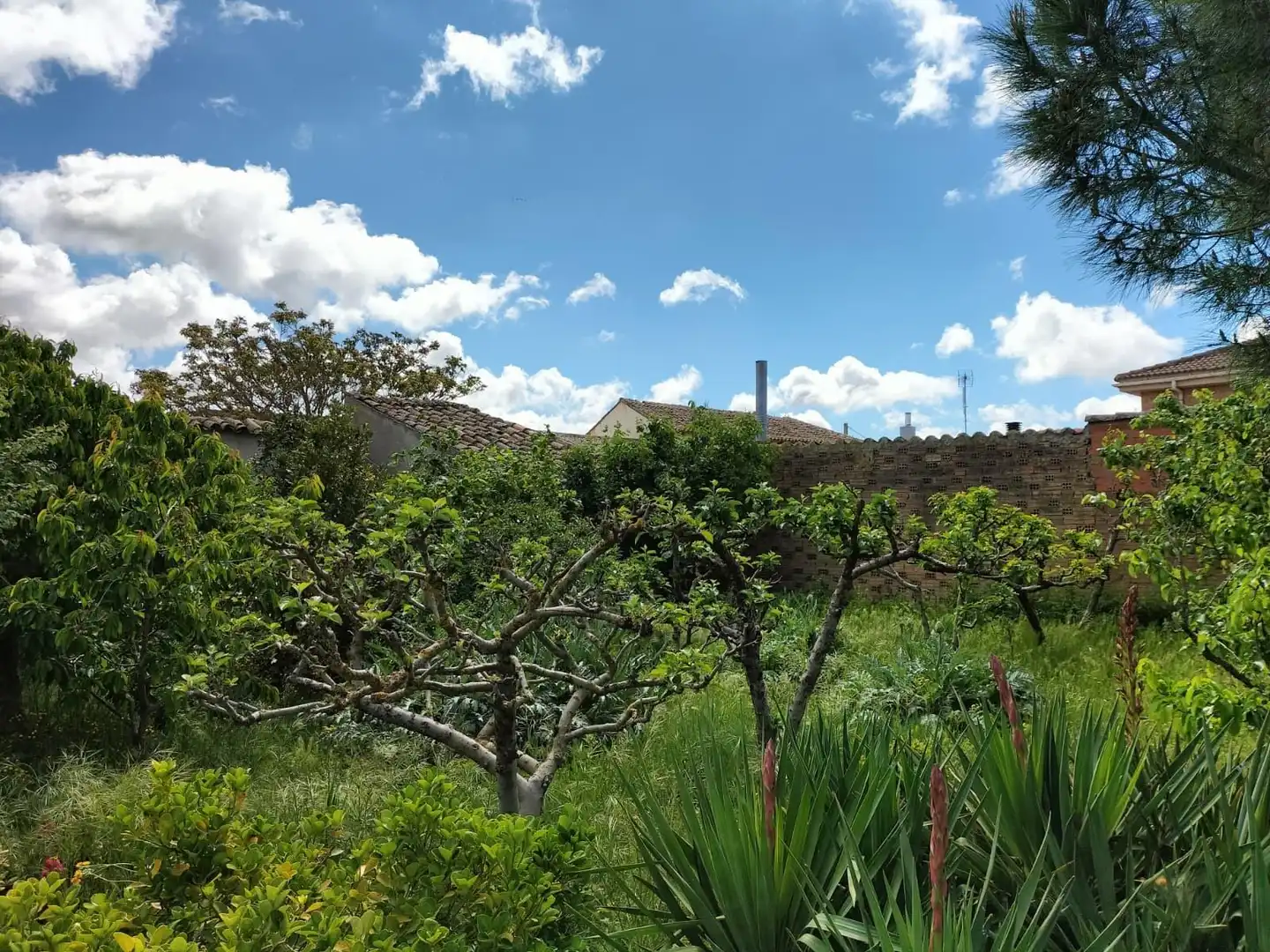 Houses for sale in Valle del Retortillo