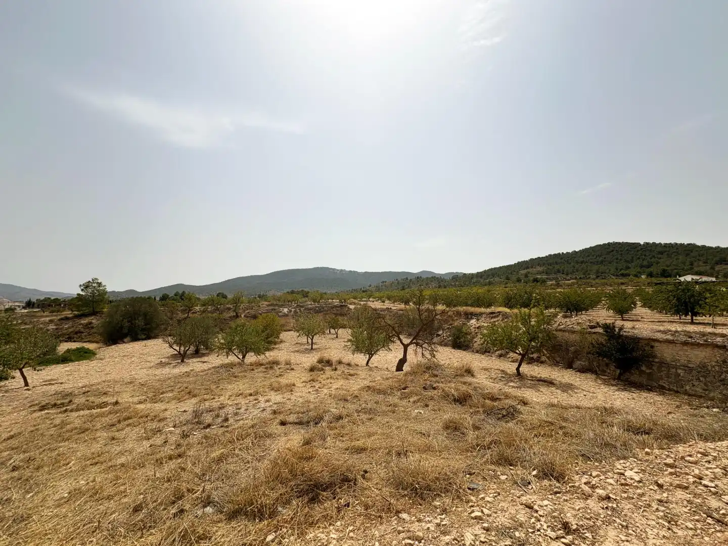 Country house for sale in Camino Ch Xirivell, imagen 15