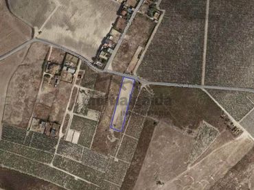 Rustikales Grundstück zum Verkauf in Monteolivete - Camino Sevilla