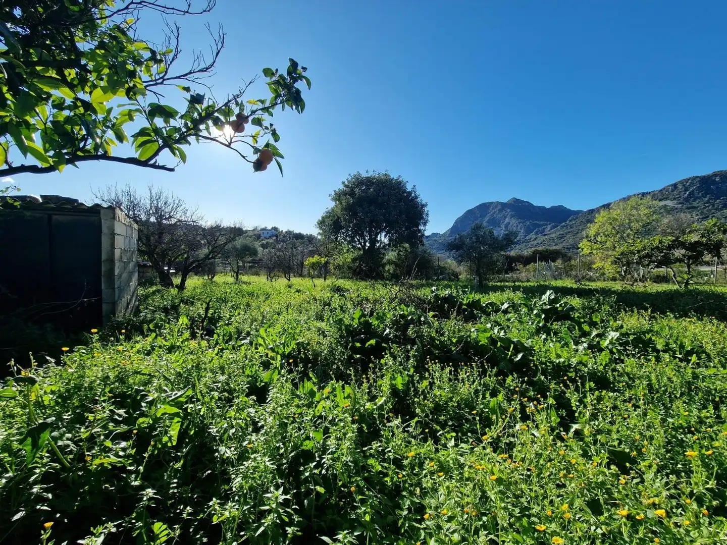 Terreny residencial en venda a Ubrique, imagen 16
