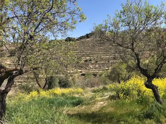Grundstücke zum Verkauf in La Zubia