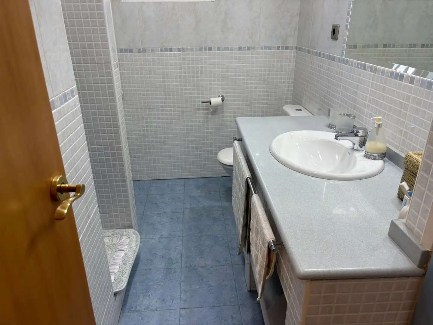 Bathroom of Houses for sale in Elche / Elx  with Private garden and Swimming Pool