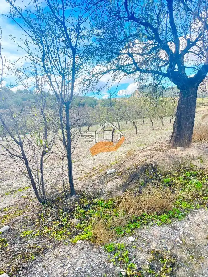 Residential land for sale in Vélez-Rubio, imagen 6