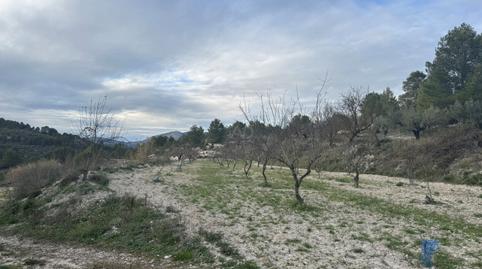 Photo 3 of Land for sale in Benimarfull, Alicante
