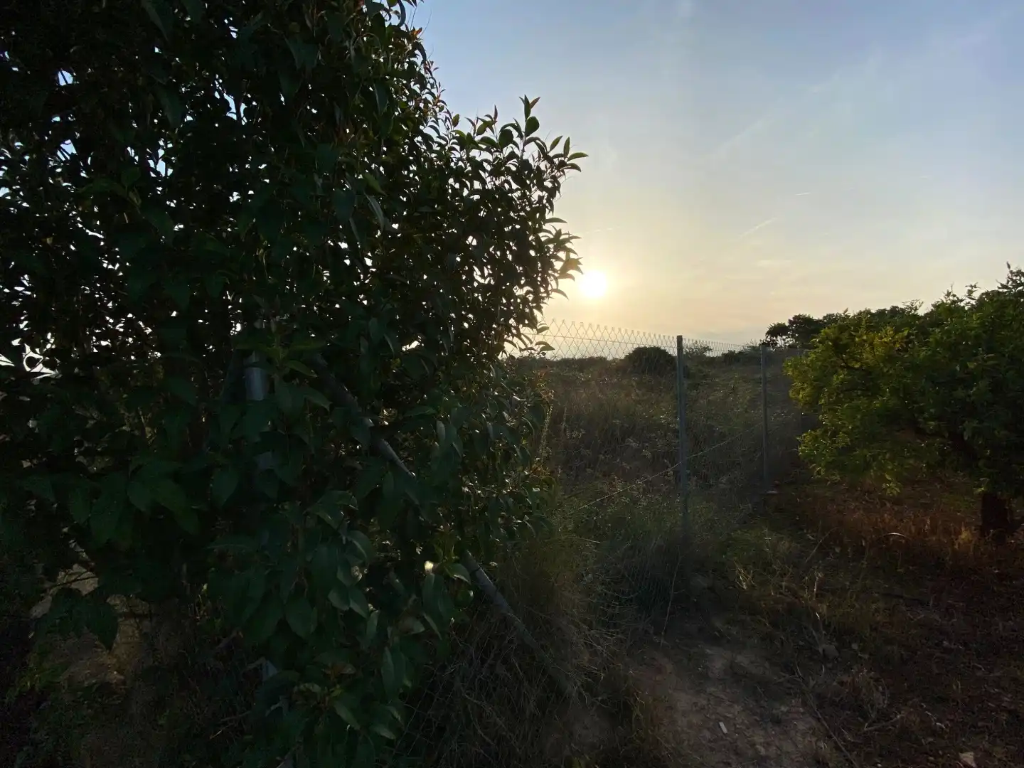 Terreno en venta en Vila-real