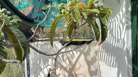 Foto 5 de Terreny en venda a Camino Zarzaparrilla - Fuente de Ariza, 183, Algarrobo pueblo, Málaga