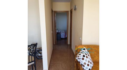 Foto 5 de Finca rústica de alquiler en Barrio Lomo Mena, El Escobonal - Pájara, Güímar
