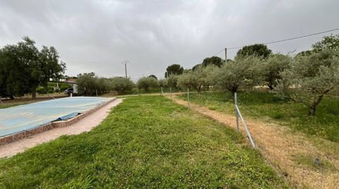 Foto 5 de Finca rústica en venda a Don Benito, Badajoz