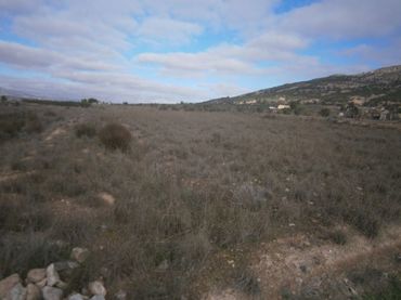 Terreno rústico en venta en El Pinós / Pinoso