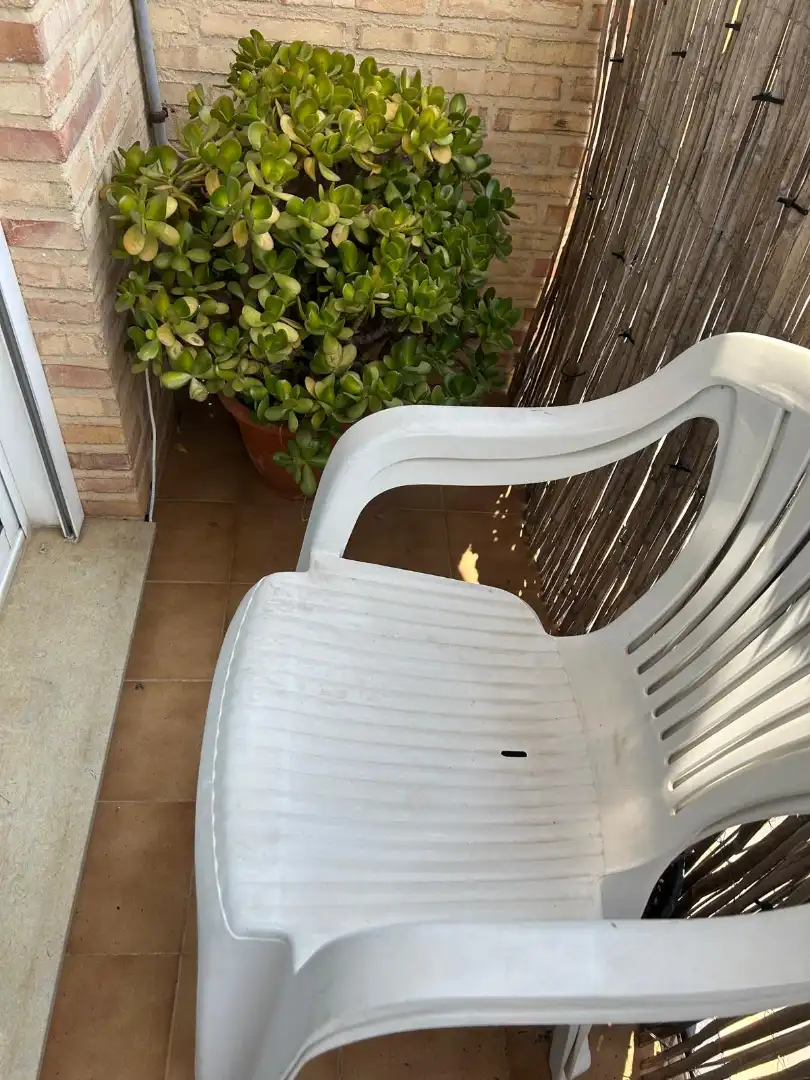 Wohnung mit Terrasse zum Verkauf in Carrer Magistrat Greus Carrer Nou, imagen 10
