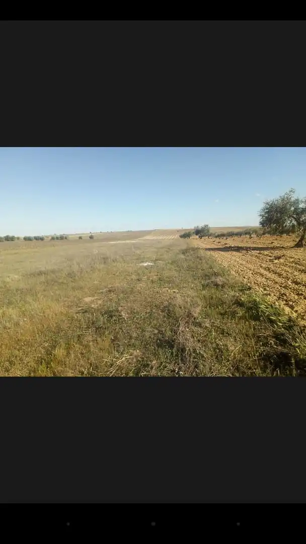 Terrenys i solars en venda a Fuensalida, imagen 4