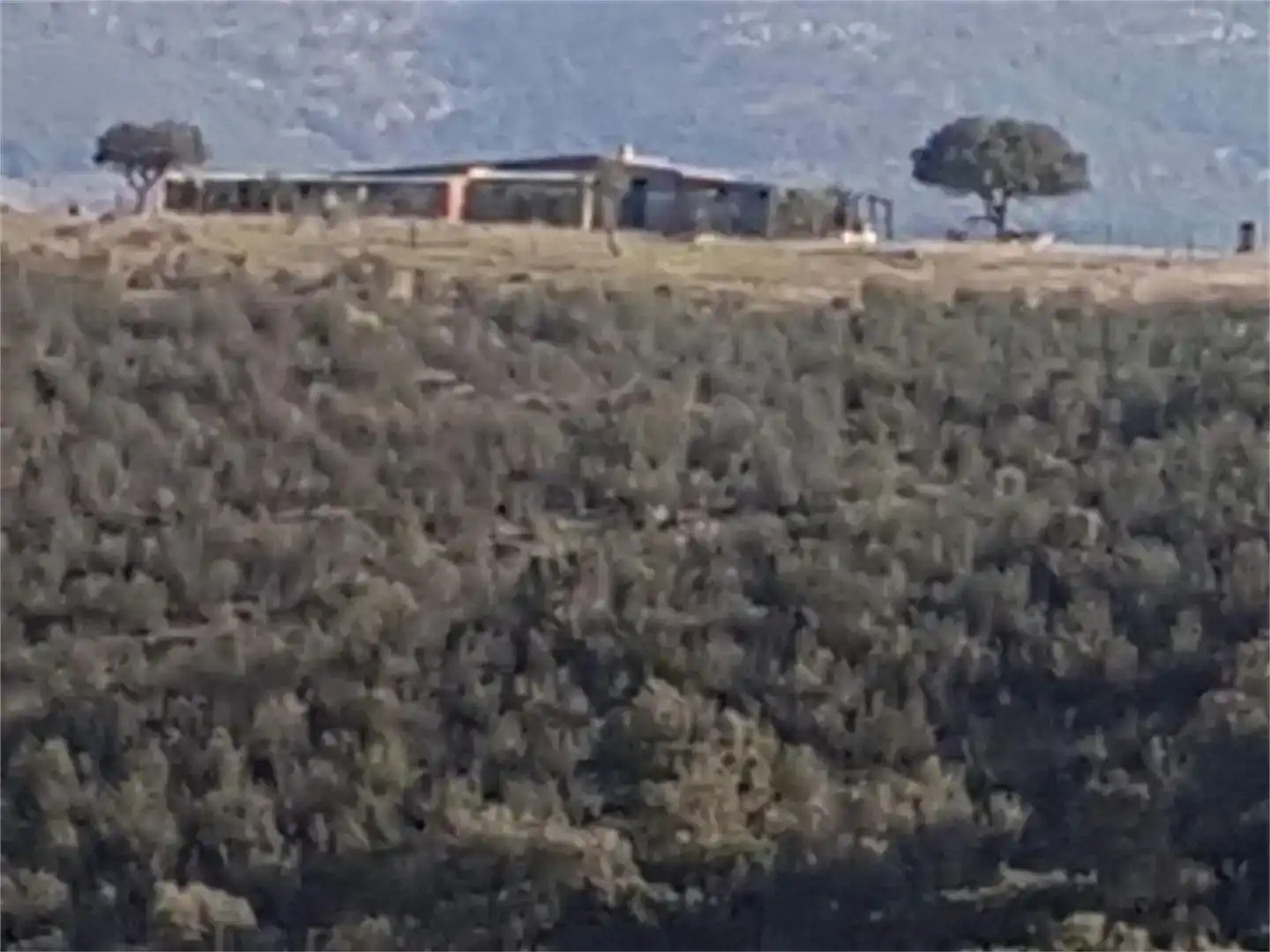 Vista exterior de Finca rústica en venda en Villarta de los Montes